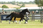SBM_02292