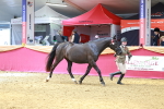 SBM_02974
