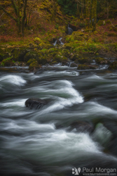 Flow Motion