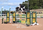 BPP_6951