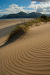 Murlough (07066904)