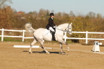 SBM_004739