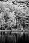 Blea Tarn 04