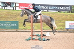 Clear Round & Cls 1 Brit Nov 90cm portfolio