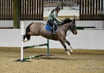 SORC Gridwork with Helen and Flatwork at BCA 01-02-25 portfolio