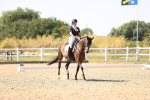 SBM_006517