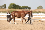 SBM_08131