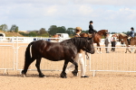 SBM_10952