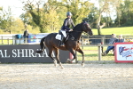 SBM_54388_J23 Junior Horse 70cm Championship