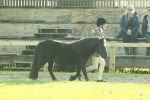 SBM_57391
