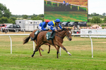 Race 4 15.42pm racingtv.com/freetrial Handicap portfolio
