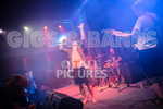 Pigsx7-52