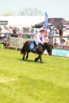 Shetland Grand National portfolio