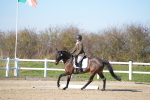 SBM_003409