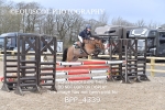 BPP_4339