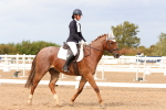 SBM_03733