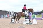 Clear Round and 60cm portfolio
