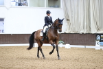 SBM_010031