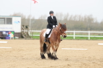 SBM_000456