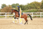 SBM_007679