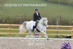 BPP_8943