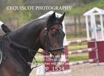 BPP_1534