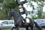 505-MR.DARCY-Eleanor.Newcombe-DR portfolio