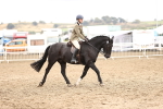 SBM_01386