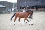 SBM_005961