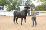 SBM_07795