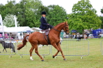 SBM_02729
