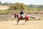 SBM_002834
