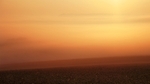 080915 Foggy Field_9638