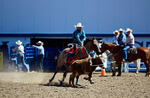 3HRodeo8-11-25_PRCASteer_02270_