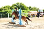 SBM_006653