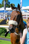 110725-Race 6-Brazen Bolt-0548