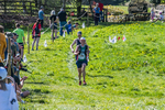 The Finish-780
