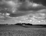 Near Kings Lynn Norfolk England