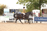 SBM_16481