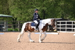 WJ6_6817