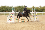SBM_007390