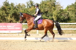 SBM_006702