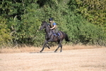 WJ6_6773