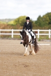SBM_009337