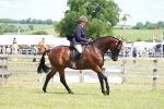 SBM_15893