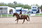 SBM_17593