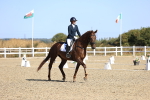 SBM_013008