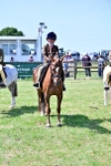 SBM_14014