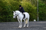 WJ5_8983