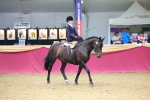 Class 904 - Supreme Final Ridden Diamond portfolio